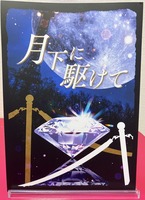 月下に駆けて