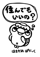 住んでもいいの?