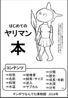 はじめてのヤリマン本