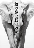 象の鼻は長いのか