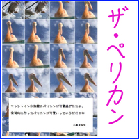 サンシャイン水族館のペリカンが可愛過ぎたため、突発的に作ったペリカンが可愛いっていうだけの本