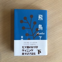 飛鳥 下