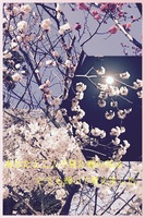 春夏秋冬君と歩んだ道「春」