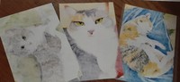 ポストカードねこ4枚入りセット