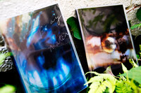 『pray+water』『night2010』『light 2011』
