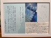 額文学 青の詩学