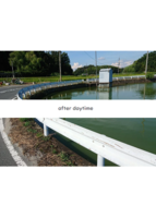 after daytime