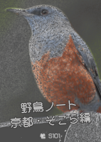 野鳥ノート 京都・そこら編