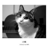小梅 小さなモフモフ物語