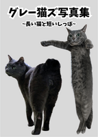 グレー猫ズ写真集~長い猫と短いしっぽ~