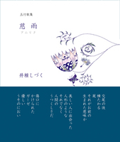 慈雨