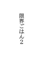 限界ごはん2