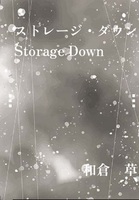ストレージ・ダウン