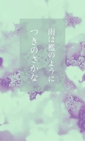雨は檻のように