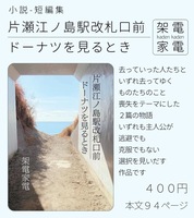 片瀬江ノ島駅改札口前/ドーナツを見るとき
