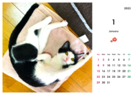 富士額のふじまるくん 卓上カレンダー2023