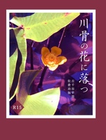 【BL】川骨の花に落つ【明治大正】