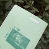 公園にしかない緑