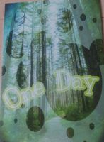 OneDay
