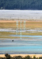 僕はただ 美しいものをみる 精神でいたい
