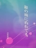 銀の雨にぬれても
