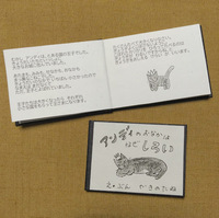 アンディのおなかはなぜしろい