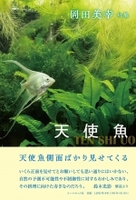 天使魚