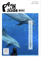 Any slide mini