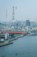 小さな声の島