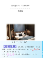 君が選ぶベッドは最高級だ。