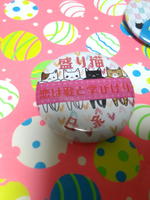 俳句缶バッジ(盛り猫)