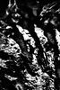Metaphysical Thoughts on Kühleborn / キューレボルンへの形而上学的思考