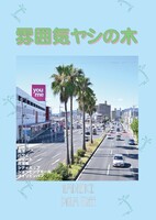 雰囲気ヤシの木
