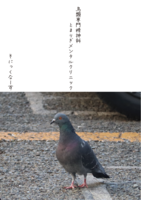 鳥類専門精神科  とまりぎメンタルクリニック