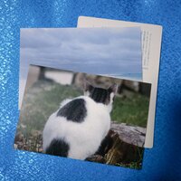 写真セットA