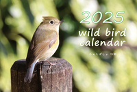 2025年度野鳥カレンダー