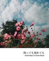 降っても晴れても