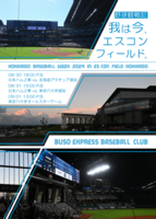 我は今、エスコンフィールド。