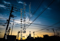 ウソのようなホントの話  愛奈穂佳の幽雅な日常〜ヒトコワ編〜