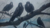 アニメーションDVD『カラスの涙』