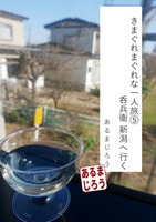 きまぐれまぐれな一人5呑兵衛新潟へ行く