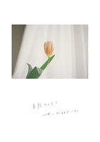 写真と言葉。詩のセット
