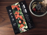 ウルトラ 17