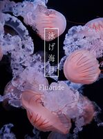 泳げ海月