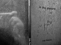 in the picture