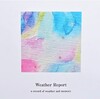 ZINE『Weather Report』