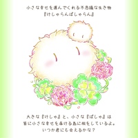けしゃらんぱしゃらんBOOK