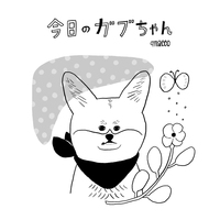 今日のガブちゃん