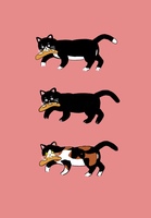 ねこ3匹
