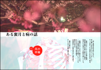ある蜜月と病の話